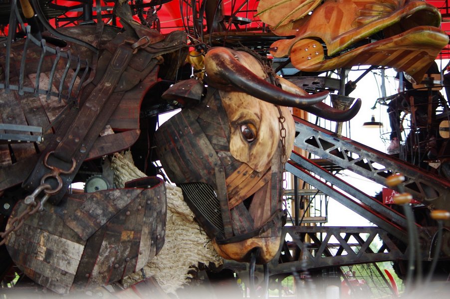 Le Manege Carre Senart concu par Francois Delaroziere 074.jpg